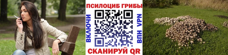 Галлюциногенные грибы мухоморы где можно купить Ладушкин